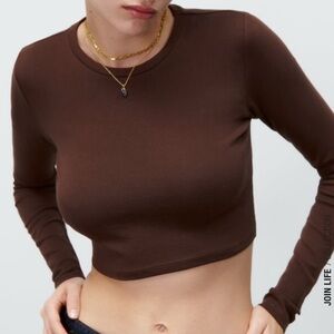 Zara Chocolate Long Sleeve Crop Top